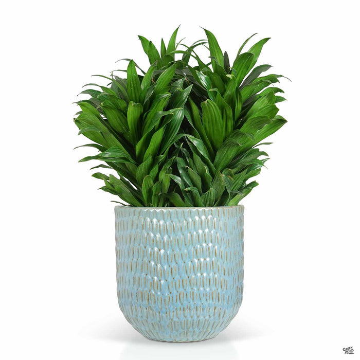Matias Planter Mystique Blue 10 inch