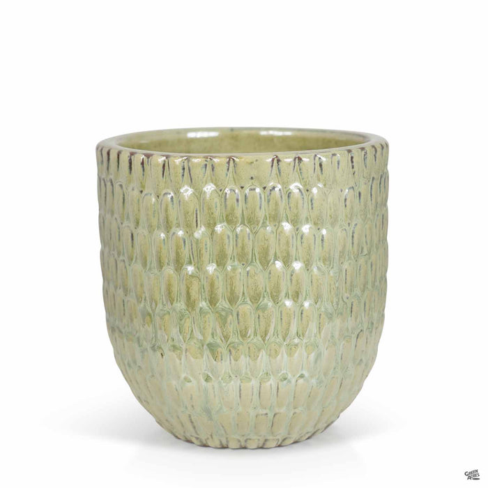 Matias Planter Green Grass 7.75 inch