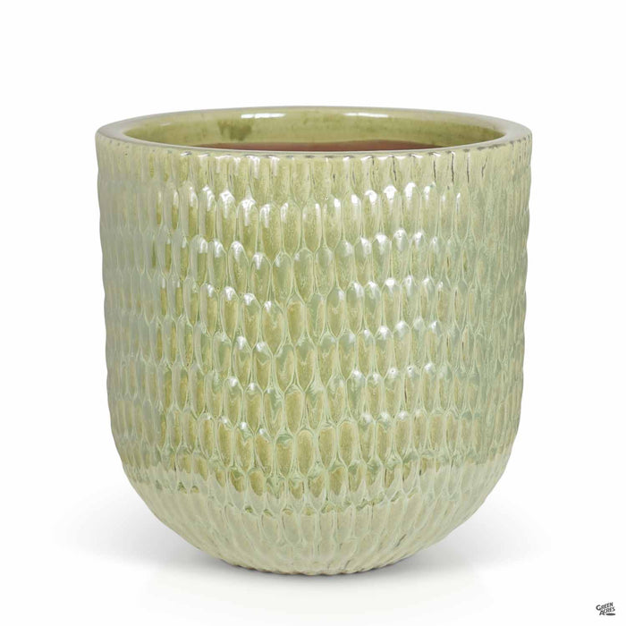 Matias Planter Green Grass 13.75 inch