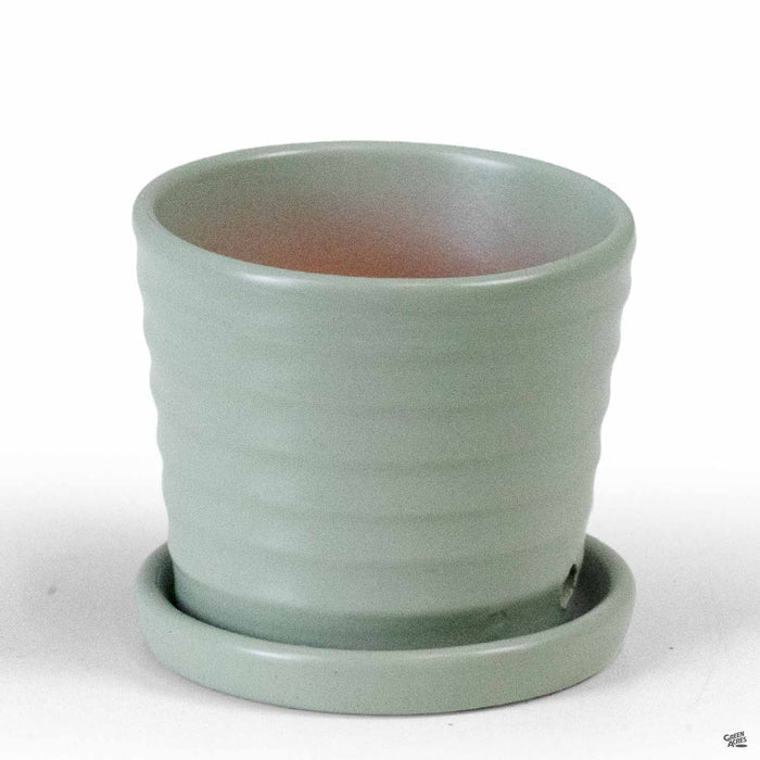 Matte Ribbed Pot Matte Green