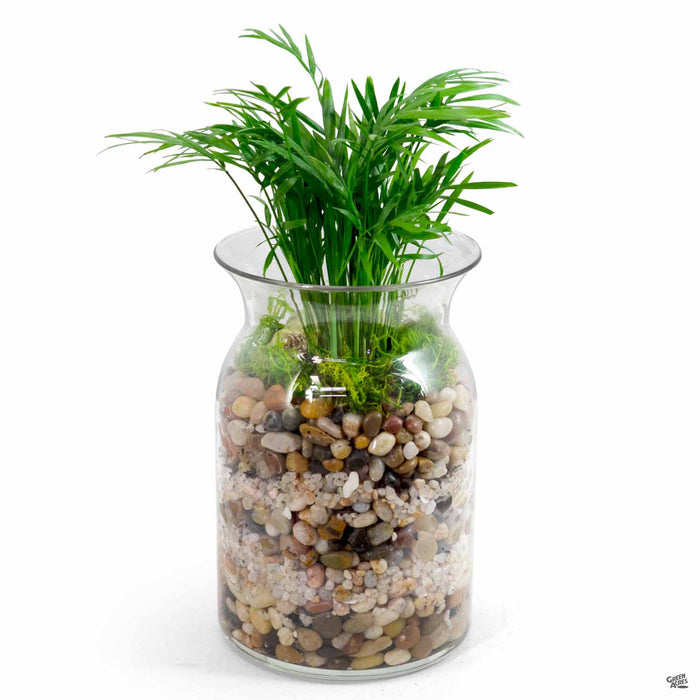 Milk Jug Vase Terrarium (planted)