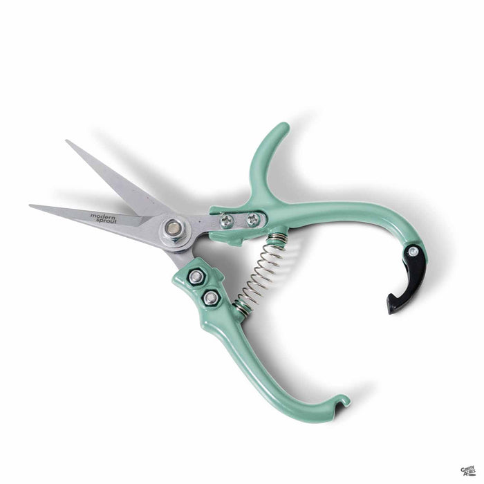 Modern Sprout Sage Pruners