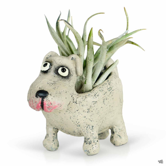 Petunia The Dog Animal Planter