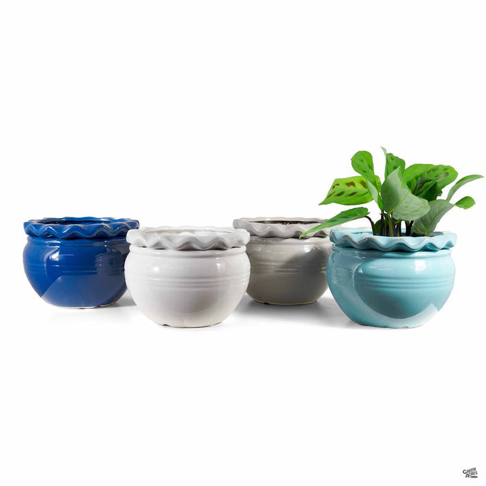 Pie Rim Self Watering Pots Group
