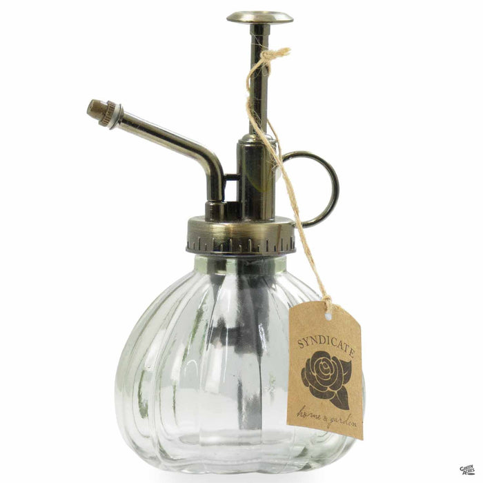 Plant Mister in Clear