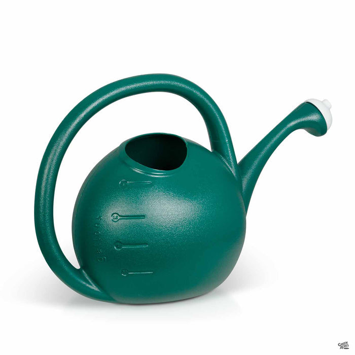 Premium Watering Can 2 gallon