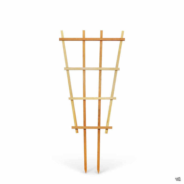 Redwood Fan Trellis 24 inches by 40 inches by 55 inches