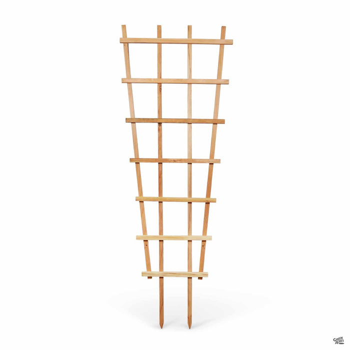 Redwood Fan Trellis 24 inches by 55 inches by 66 inches