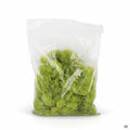 Reindeer Moss