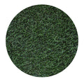 Delta Bluegrass Company Ryegrass