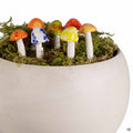 4 inch Shroomyz