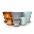 Standard Pot Group
