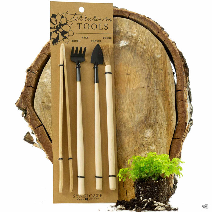 Terrarium Tool Kit