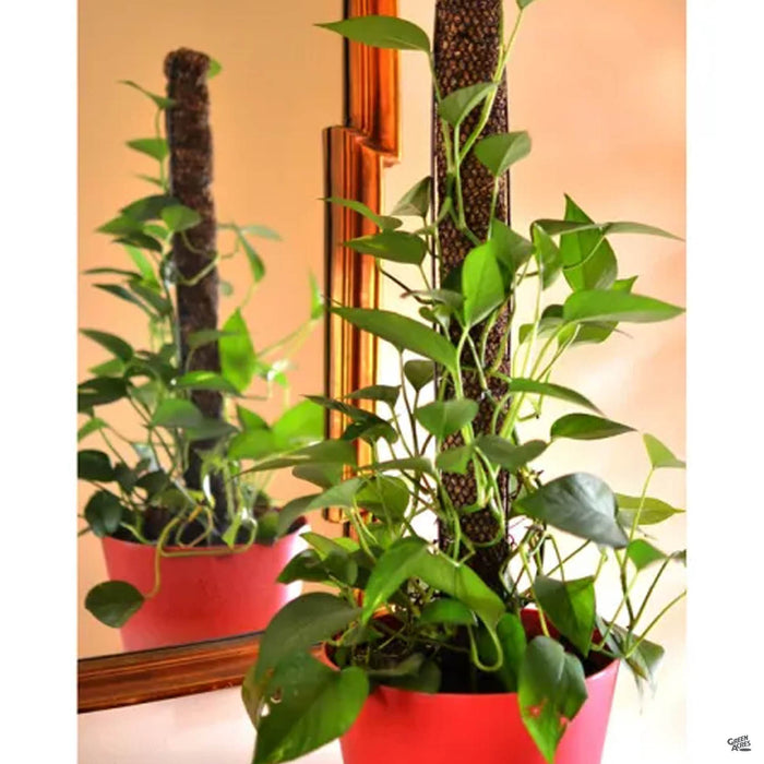 Mosser Lee Totem Pole Plant Support