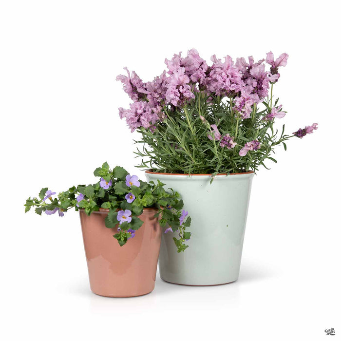 Vasum Pots