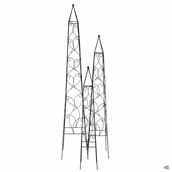Wisteria Obelisk group